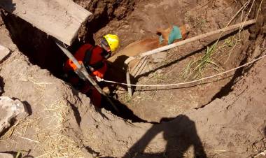 Bomberos rescataron un novillo de un pozo en zona rural.